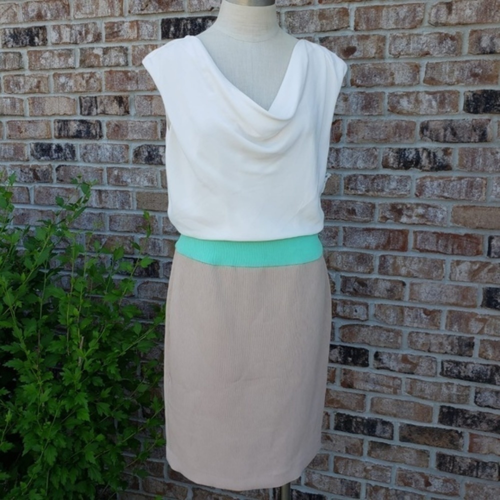 NEW Anne Klein Color Block Cowl Neck Dress 8